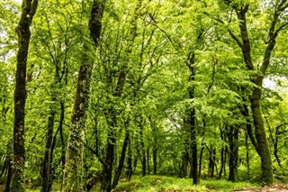 Albanië Weersverwachting