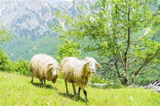 Arnavutluk hava tahmini