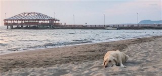 Arnavutluk hava tahmini