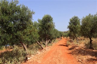 אלבניה תחזית מזג האוויר