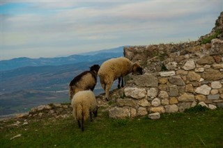 Arnavutluk hava tahmini
