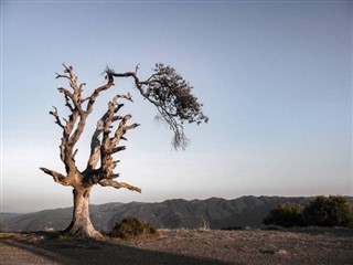 Algeriet vejrudsigt