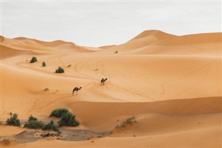 Algeriet vejrudsigt