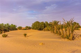 Algérie prévisions météorologiques