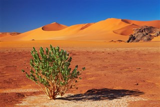 Algeriet vejrudsigt