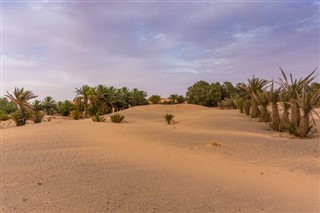 Algérie prévisions météorologiques