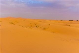 Algérie prévisions météorologiques