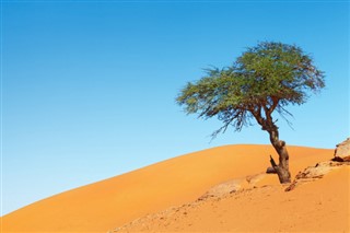 Algérie prévisions météorologiques
