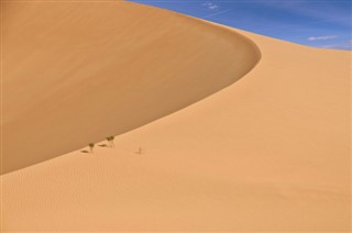 Algeriet vejrudsigt