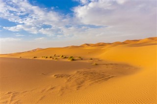 Algeriet vejrudsigt