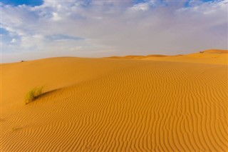 Algérie prévisions météorologiques