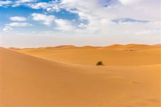 Algeriet vejrudsigt