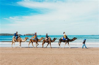 Algeriet vejrudsigt