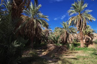 Algeriet vejrudsigt