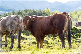 Andorra hava tahmini