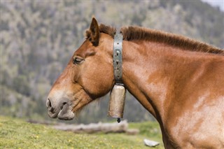 Andorra vejrudsigt
