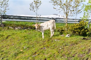 Andorra vejrudsigt
