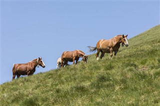 Andorra vejrudsigt