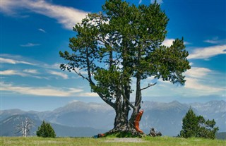 Andorra vejrudsigt
