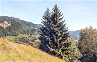 Andorra vejrudsigt