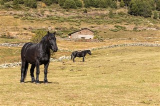 Andora vremenska prognoza