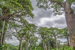 Angola weather forecast