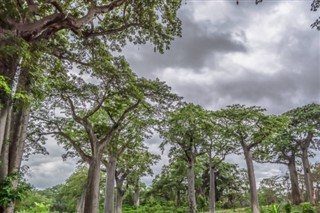 Angola weather forecast