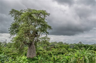 Angola időjárás-jelentés