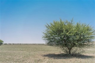 Angora hava tahmini