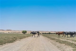 Angola weather forecast