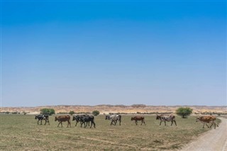 Angola prévisions météorologiques
