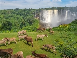 Angola vejrudsigt