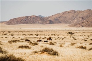 Angola vejrudsigt