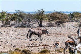 Angola időjárás-jelentés