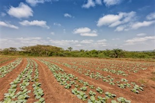 Angola vejrudsigt