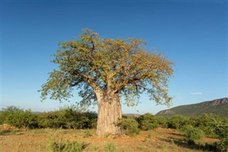 Angola időjárás-jelentés