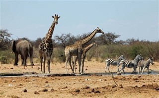 Angola vremenska prognoza