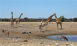 Angola vejrudsigt