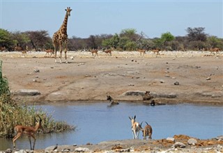 Angola vremenska prognoza