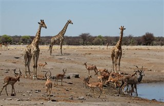 Angola předpověď počasí