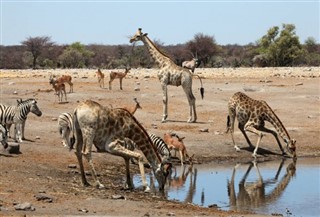 Angola Időjárás-jelentés