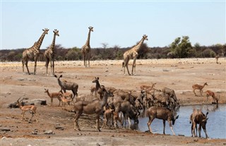 Angola vejrudsigt