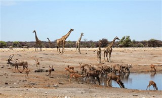 Angola prévisions météorologiques