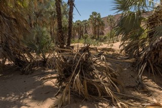 Angola vremenska prognoza