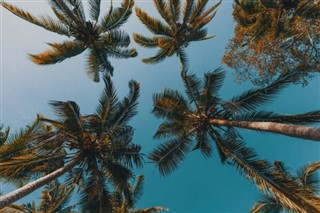 Anguilla hava tahmini