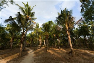 Anguilla vejrudsigt