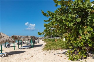 Anguilla hava tahmini
