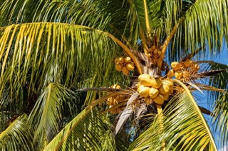 Anguilla hava tahmini