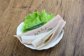 Anguilla vejrudsigt
