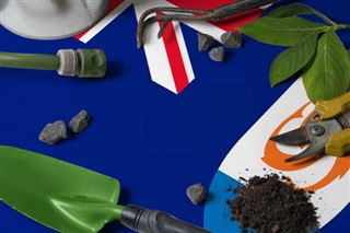 Anguilla Hava tahmini